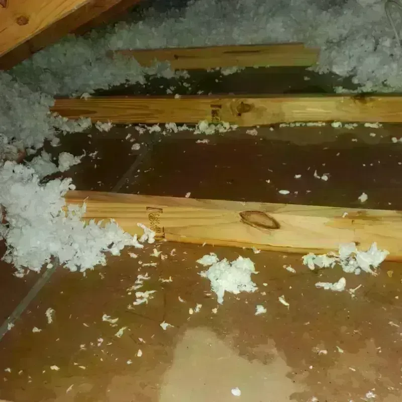 Attic Water Damage in Lake Wylie, SC