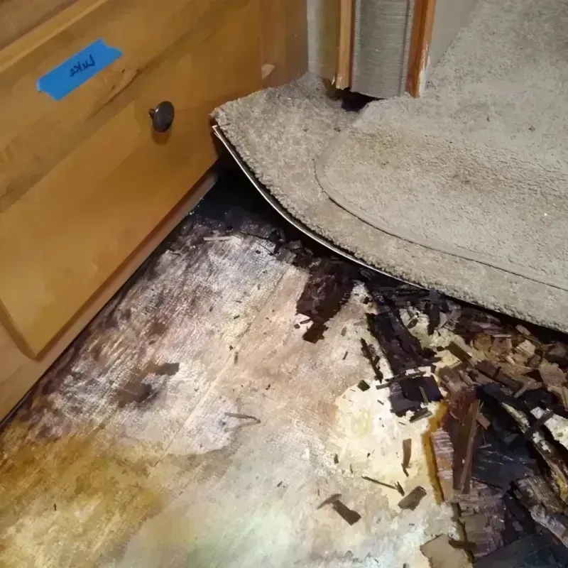 Wood Floor Water Damage in Lake Wylie, SC